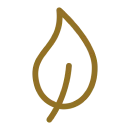 Minimalist golden leaf design